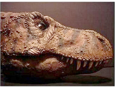 1/10th scale bust of Tyrannosaurus rex released by PaleoStudio.