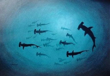 Great Hammerhead sharks, acrylics on MDF
